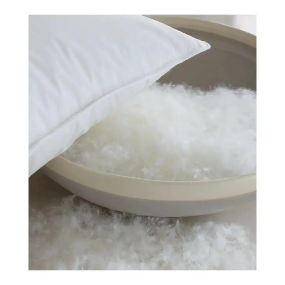 Quince Premium Standard Down Medium Pillow - NEW